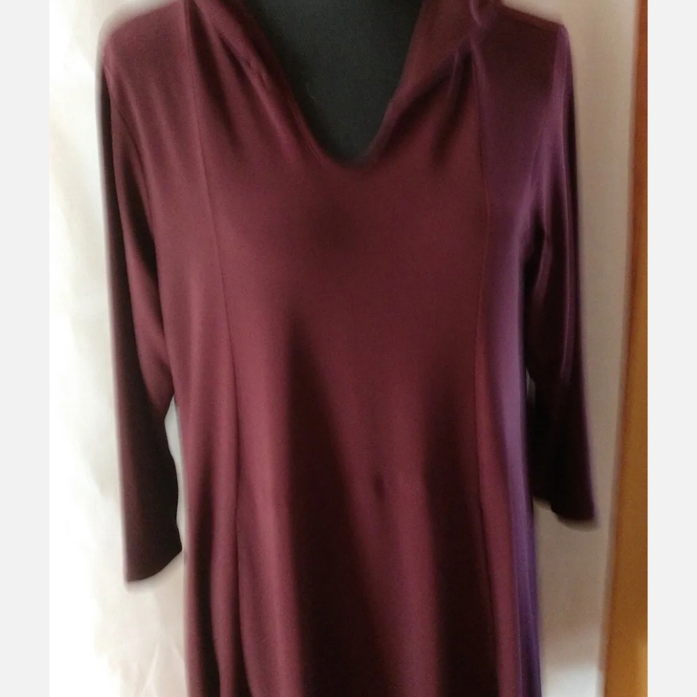 Sympli Tunic Top Size 12 High Low Hem with Hood